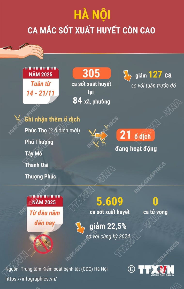 Số ca mắc sốt xuất huyết tại Hà Nội vẫn còn cao ảnh 1