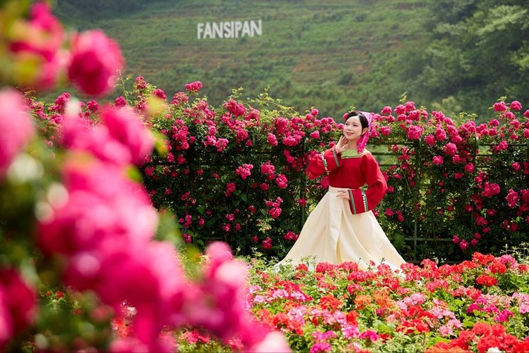 Đông đảo Phật tử hành hương về Fansipan mùa Phật đản ảnh 7
