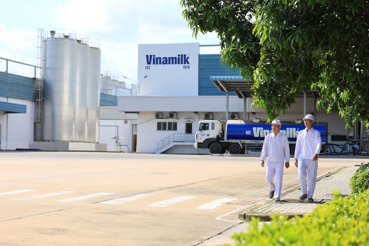 Vinamilk chia sẻ kinh nghiệm giảm phát thải trong bối cảnh thị trường carbon chuẩn bị hình thành ảnh 3