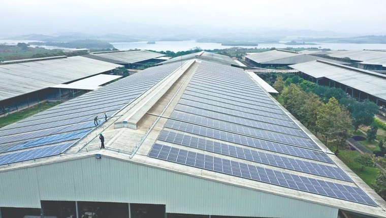 Tập đoàn TH được vinh danh “Doanh nghiệp xanh – Net Zero hành động” ảnh 1