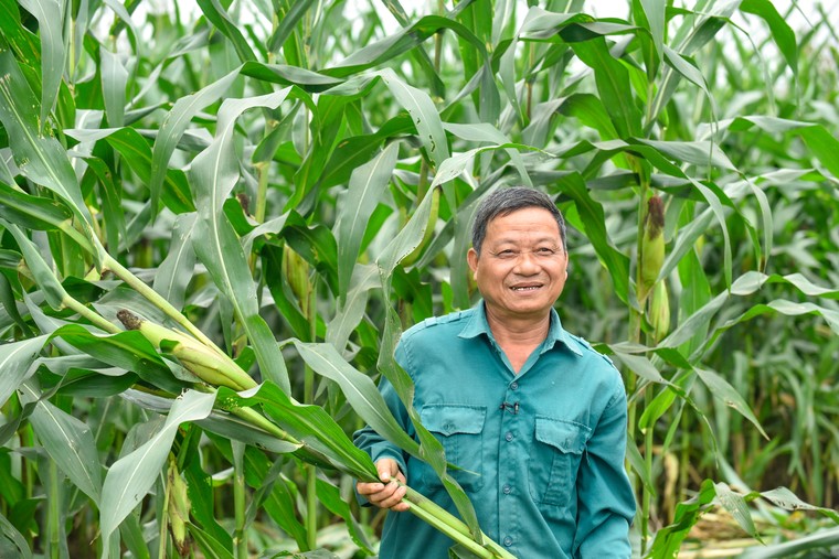 Từ nhà máy đến cộng đồng: Khi phát triển bền vững không dừng lại sau cánh cổng ảnh 4