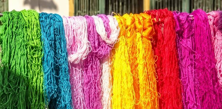Quất Động: Giữ đường kim giữa nhịp đổi thay ảnh 1