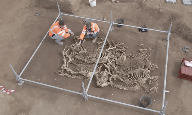 Hài cốt ngựa 2.000 năm tuổi được tìm thấy tại Pháp ảnh 1