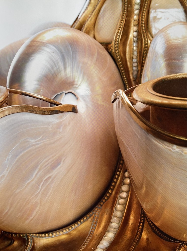 Độc đáo đèn kính màu Tiffany với tạo hình ốc anh vũ ảnh 1