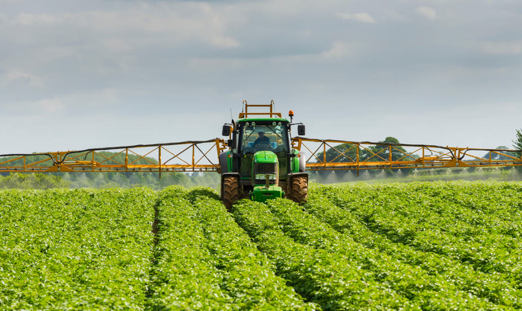 Số lượng côn trùng tại Anh giảm mạnh ảnh 1