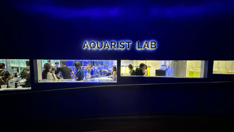 4 gợi ý cho gia đình có con nhỏ du lịch Singapore hè này ảnh 1