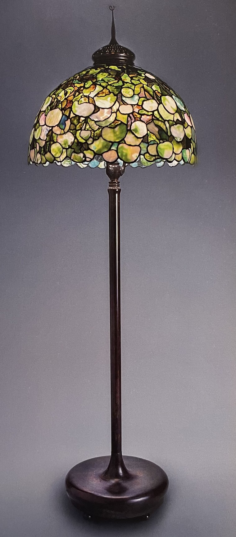 Hoa cẩm tú cầu tuyết ngọt ngào trong ánh đèn kính màu Tiffany ảnh 1