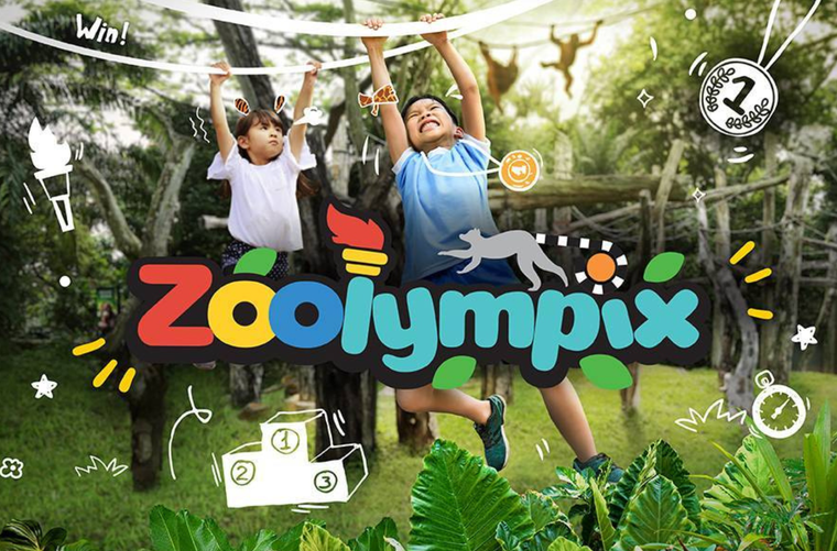 4 gợi ý cho gia đình có con nhỏ du lịch Singapore hè này ảnh 4