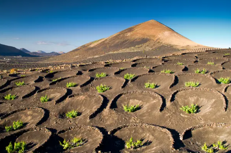 UNESCO cảnh báo nguy cơ suy thoái đất toàn cầu ảnh 1