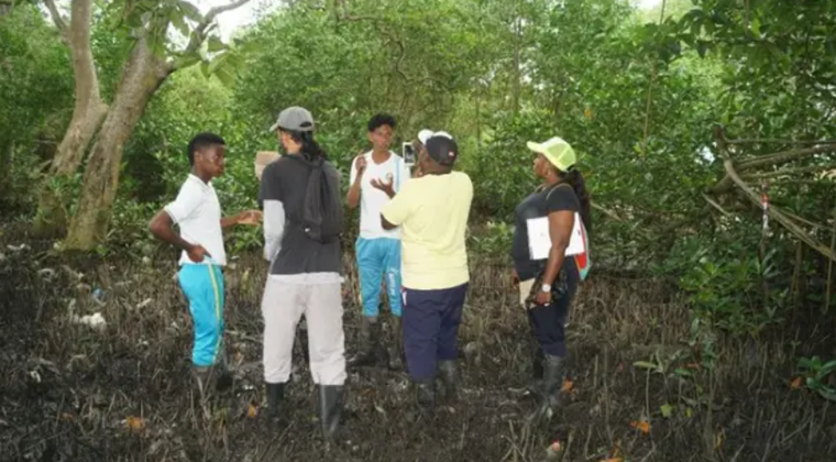 Colombia: Nuôi dưỡng thế hệ trẻ bảo vệ môi trường ảnh 1