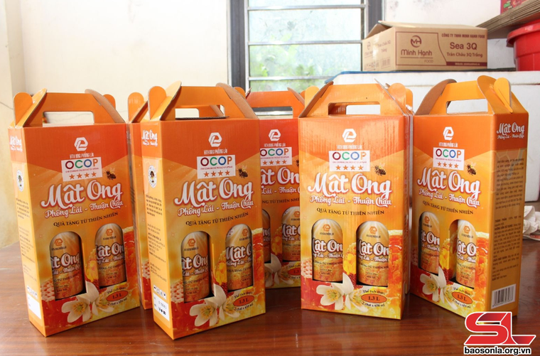 Mật ong Phổng Lái ảnh 1