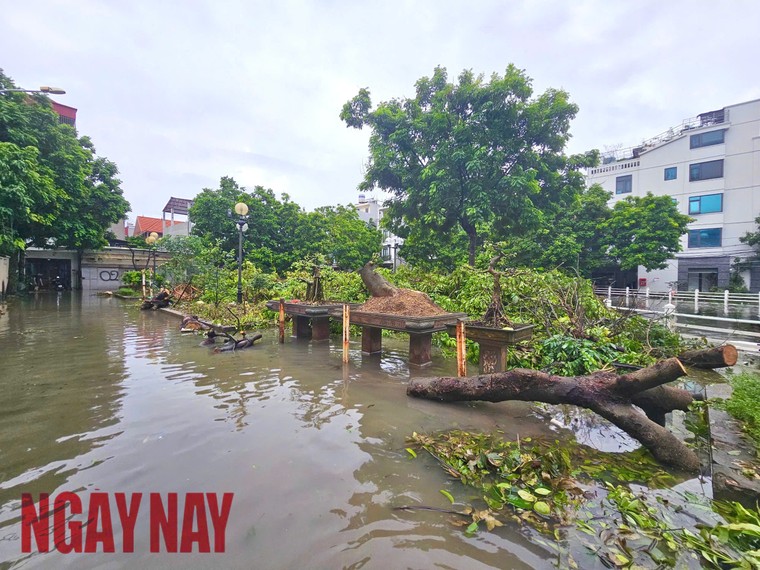 Hà Nội: Nước sông Hồng dâng cao gây ngập sâu tại quận Long Biên ảnh 2