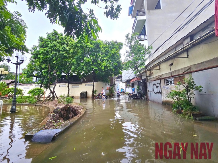 Hà Nội: Nước sông Hồng dâng cao gây ngập sâu tại quận Long Biên ảnh 8