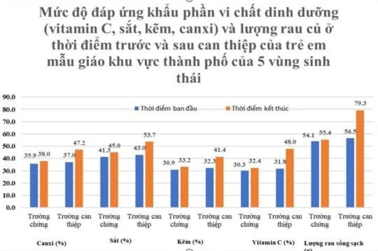 Đề xuất cần thiết phải có Luật riêng về dinh dưỡng học đường ảnh 1