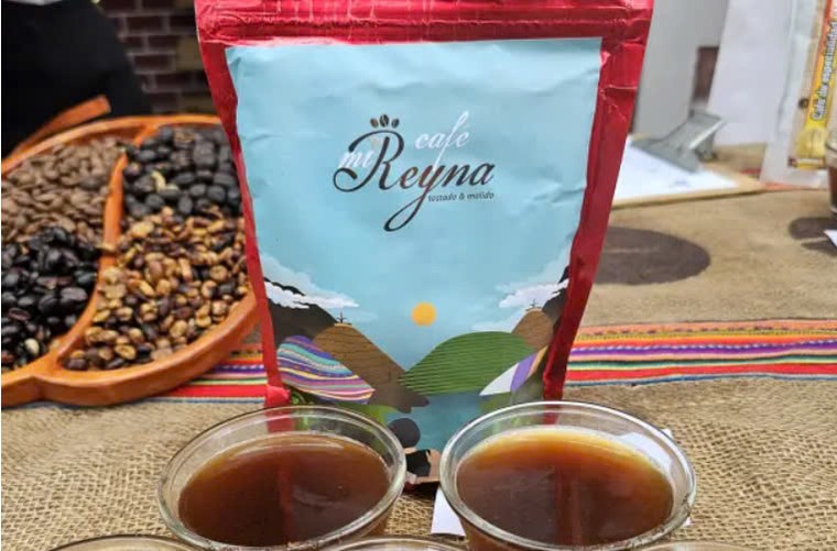 Câu chuyện bảo tồn cà phê tại BIOAY ảnh 3