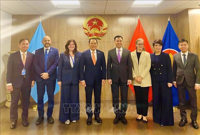 Các đối tác đánh giá cao Việt Nam trong công tác xử lý, khắc phục hậu quả bom mìn ảnh 1