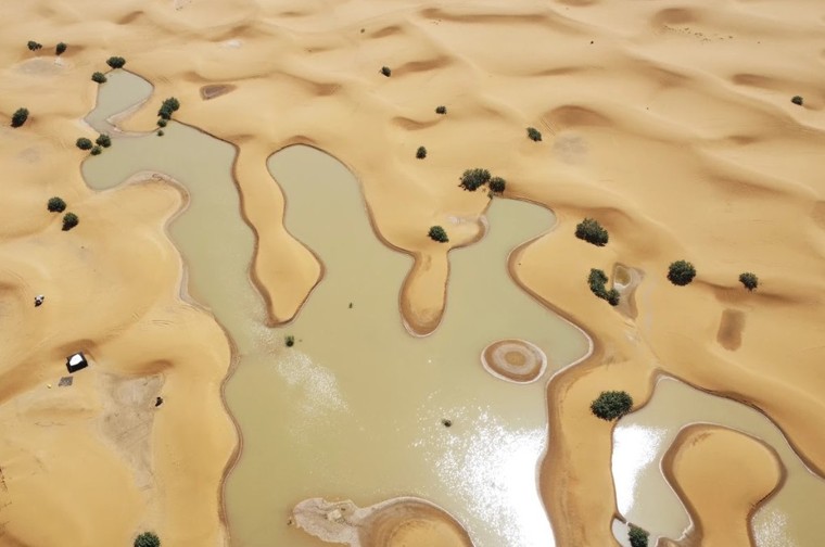 Sa mạc Sahara xuất hiện tình trạng bị ngập ảnh 2