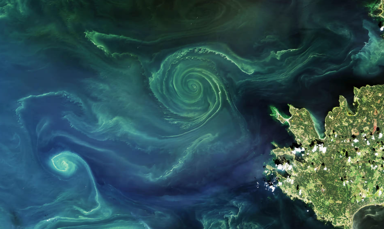 Các bể chứa carbon suy giảm đột ngột ảnh 2