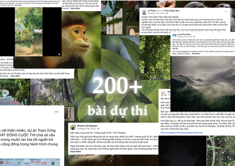 Dự án Trạm Zừng Tâm lan tỏa nhận thức về bảo tồn thiên nhiên tới thế hệ trẻ Việt Nam ảnh 2