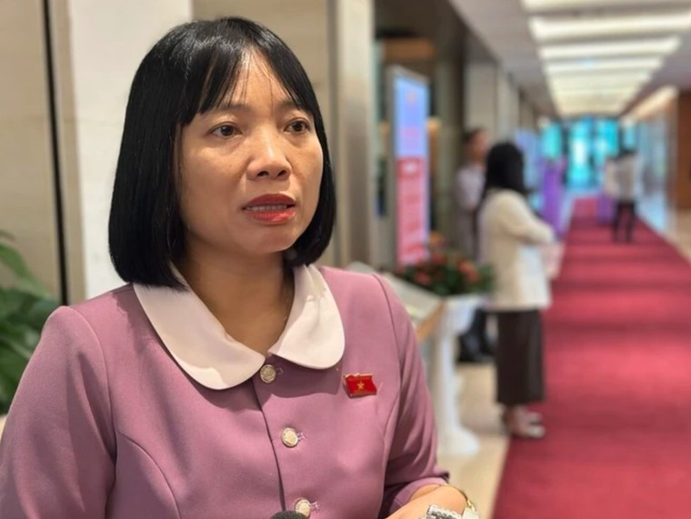 Đại biểu Quốc hội: Tội phạm công nghệ cao ngày càng diễn biến phức tạp ảnh 2