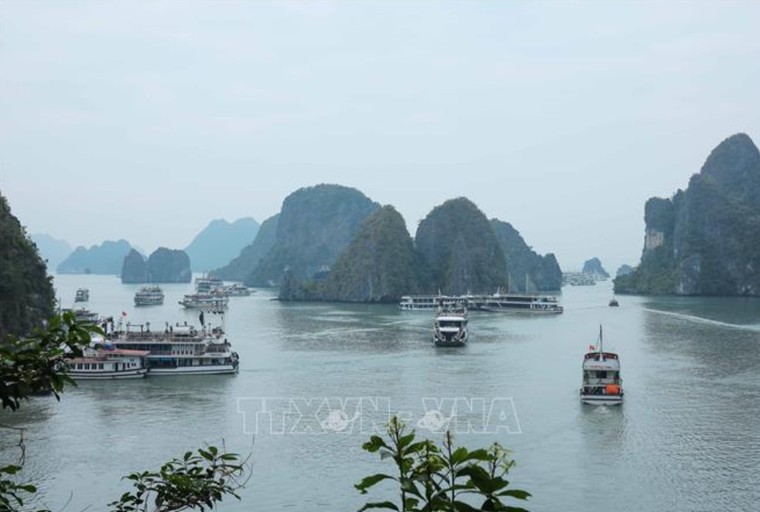 Chiêm ngưỡng Kỳ quan thiên nhiên thế giới Vịnh Hạ Long ảnh 5