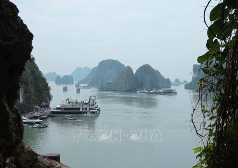 Chiêm ngưỡng Kỳ quan thiên nhiên thế giới Vịnh Hạ Long ảnh 7