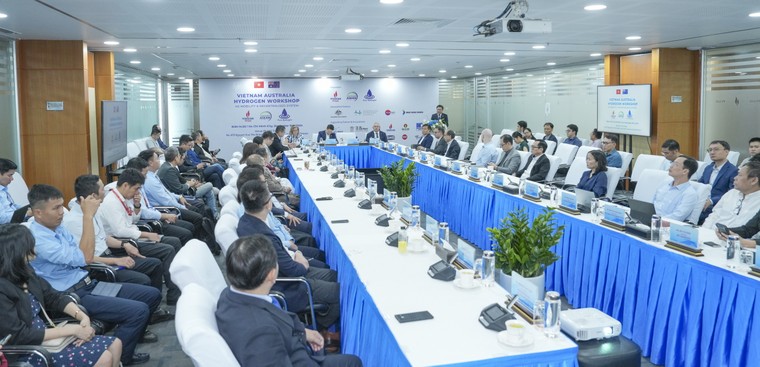 PV GAS đồng chủ trì Hội thảo “Vietnam Australia Hydrogen Workshop – H2 Mobility & Decentralised System” ảnh 1