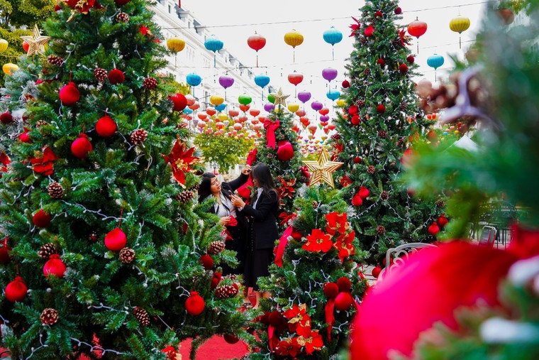 Giới trẻ thích thú check-in vườn thông “khổng lồ” tại khu đô thị Danko City ảnh 2