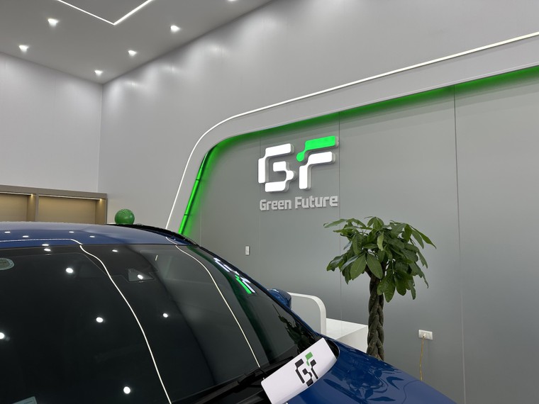 FGF đổi tên và nhận diện thương hiệu, cam kết mạnh mẽ vì tương lai xanh ảnh 1