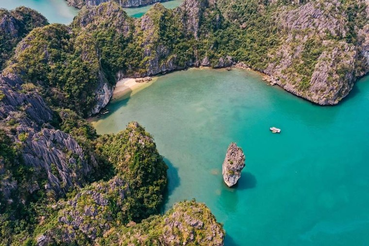 Cát Bà đón tiếp Nhà vua và Hoàng hậu Bỉ bằng cáp treo đạt kỷ lục thế giới ảnh 2