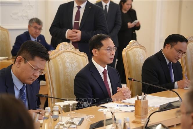 Phó Thủ tướng, Bộ trưởng Ngoại giao Bùi Thanh Sơn hội đàm với Bộ trưởng Ngoại giao Nga Sergey Lavrov ảnh 1