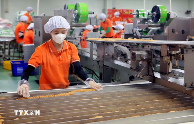 Kinh tế tư nhân - trụ cột mới của kinh tế Việt Nam trong kỷ nguyên phát triển ảnh 1