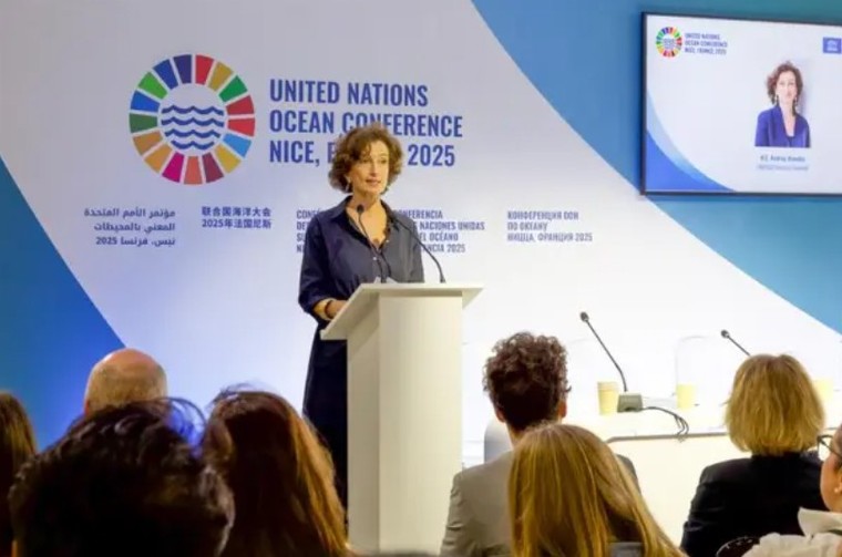 UNESCO mở rộng các chương trình giáo dục về bảo vệ đại dương ảnh 1