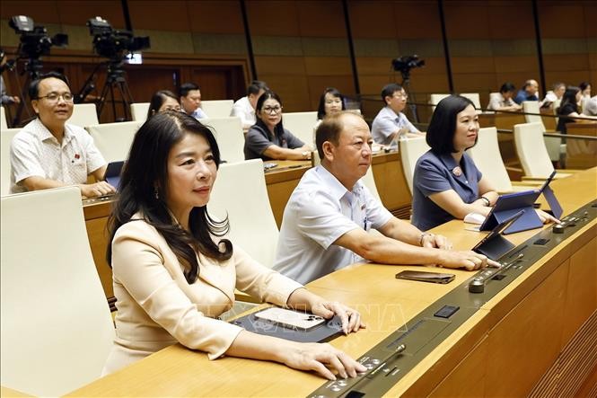 Hoàn thiện thể chế, nâng tầm chất lượng sản phẩm, hàng hóa ảnh 1