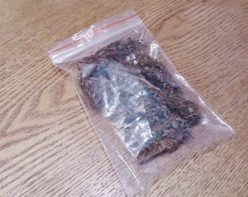 Thâm nhập thế giới dân chơi: Một lần làm 'thanh niên chuyên cần' ảnh 1