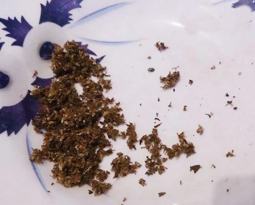 Thâm nhập thế giới dân chơi: Một lần làm 'thanh niên chuyên cần' ảnh 2