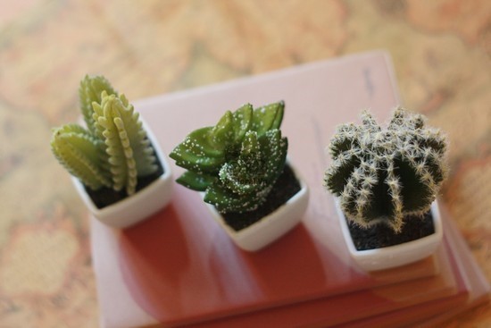 Những vật phẩm tuyệt đối không đặt trên bàn làm việc ảnh 1