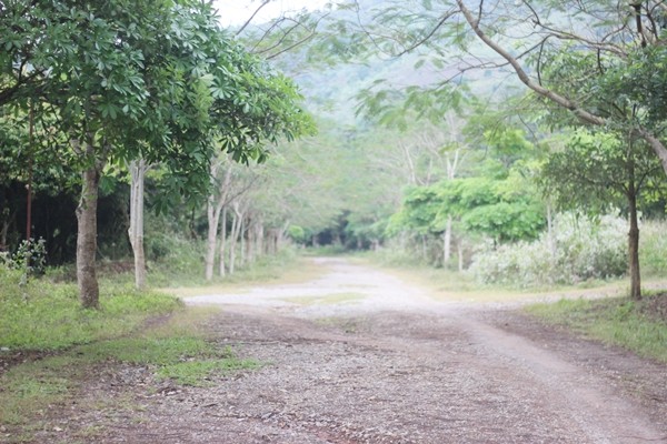 Tận mục dự án tiền tỷ bỏ hoang ở Hòa Bình ảnh 5