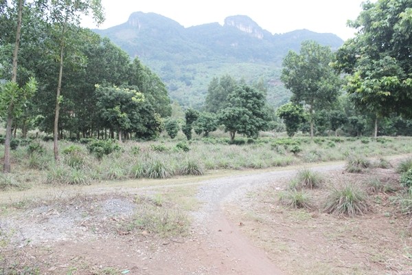 Tận mục dự án tiền tỷ bỏ hoang ở Hòa Bình ảnh 7