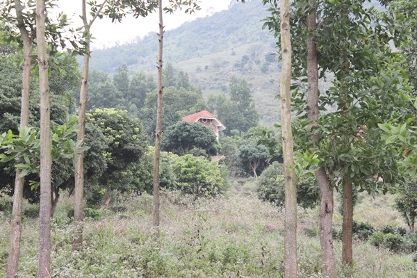 Kỳ 1: 'Thung lũng Nữ Hoàng' bỏ hoang, dân thiếu đất sản xuất ảnh 4