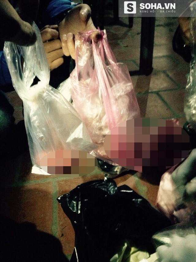 Bắc Ninh: Bới rác tìm được... 67 sinh linh vắn số ảnh 3