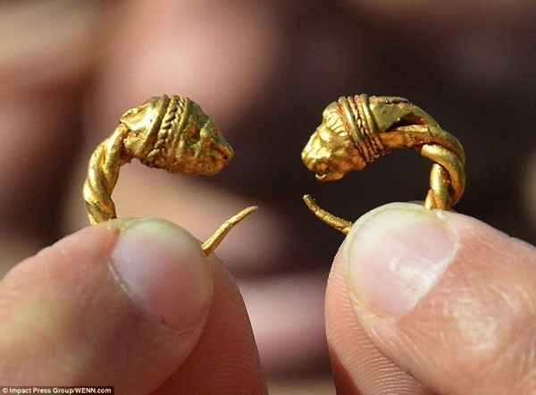 Tìm thấy kho báu “toàn vàng” của người Thrace tại Bulgaria ảnh 2