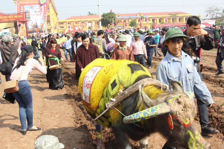 Hà Nam: Nô nức xem 'vua' cày ruộng đầu năm ảnh 8