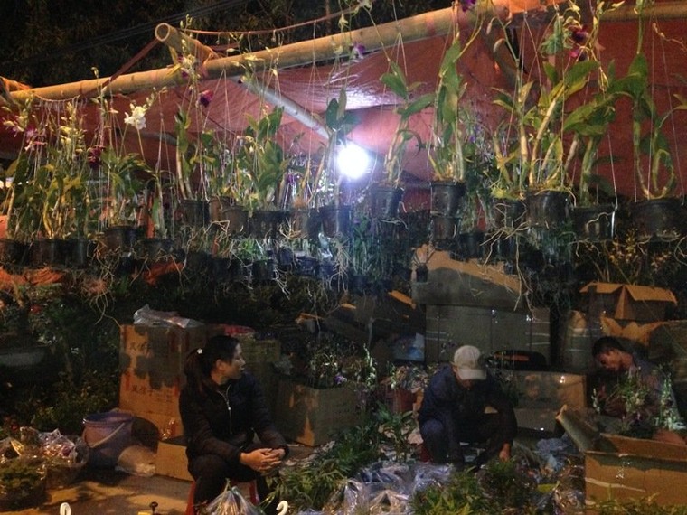 Hàng nghìn người đổ bộ chợ Viềng mua may bán rủi đầu năm ảnh 9