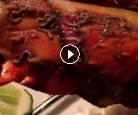 Tôm hùm dòi bò lúc nhúc trong resort vẫn phải móc túi trả 5 triệu ảnh 1