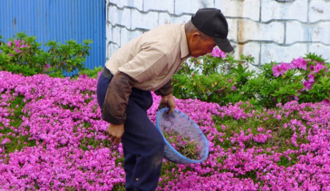 Người phụ nữ nào cũng muốn được chồng 'chiều' như bà vợ này ảnh 2