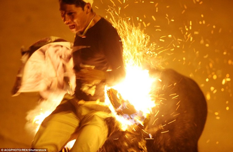 Sửng sốt với lễ hội đốt sừng bò ở Ecuador ảnh 3