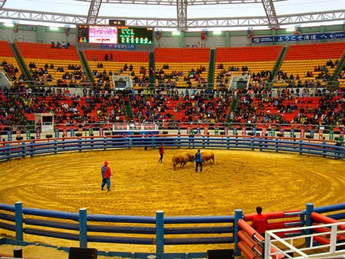 10 lễ hội độc đáo trên thế giới sẽ được tổ chức trong tháng 3 ảnh 3