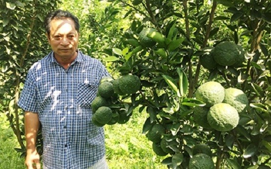 Chuyện về một tỷ phú đi dép lê ảnh 1