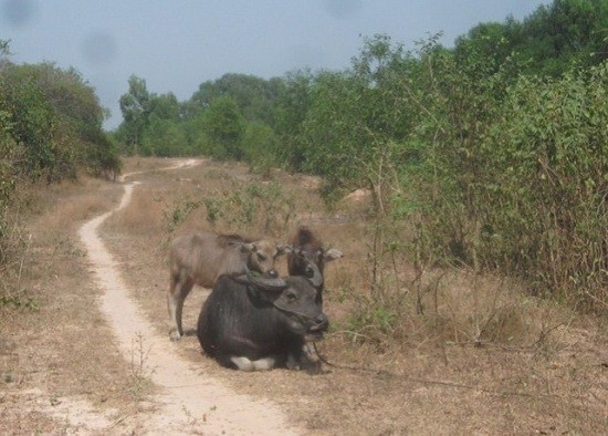 Siêu dự án 500 triệu USD nhận ‘tối hậu thư’ của Bí thư Thăng ảnh 3